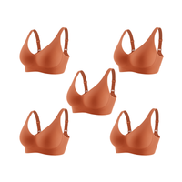 5 Terracotas